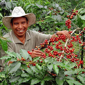 EcoDelight-Coffee-Farmer-300-300